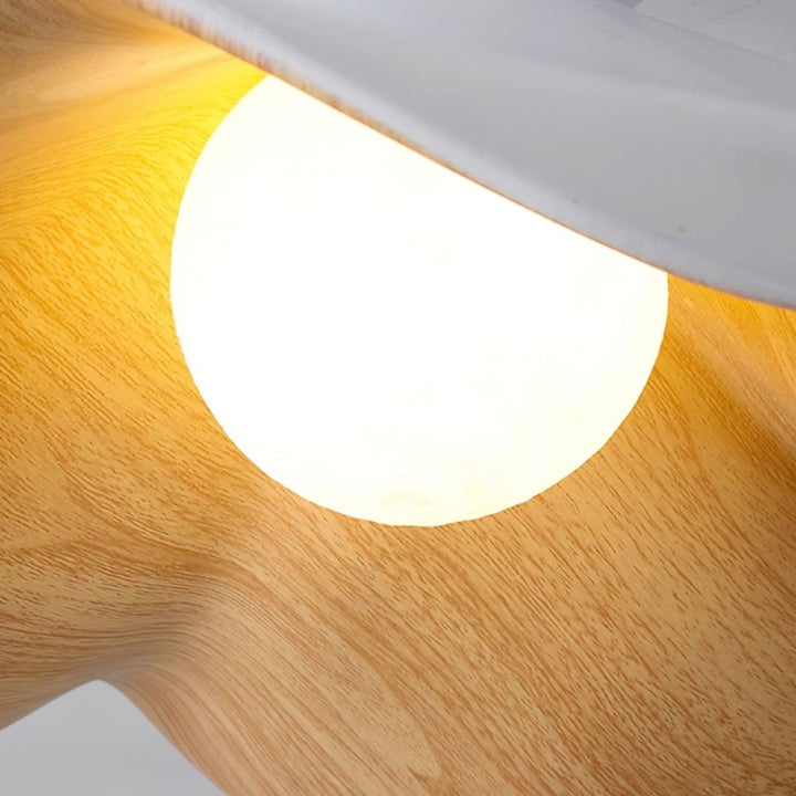 MAZIE Nature-Inspired Resin Lighting Pendant Lamp