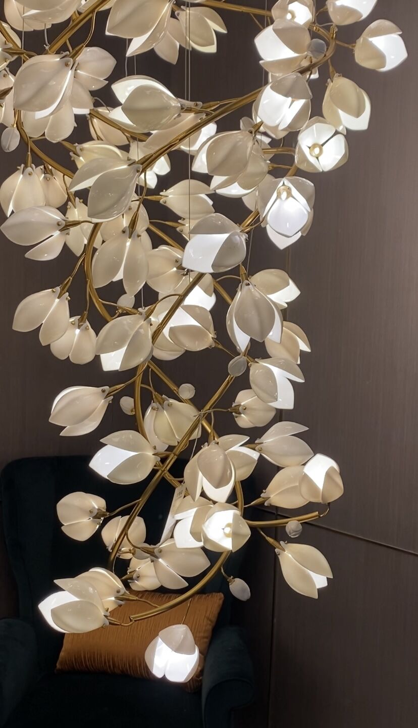 Decorative indoor plant with white leaves against a dark background